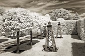 Infrared photograph wooden obelisk in lawn, mature hedges and trees