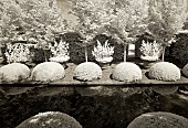 Infrared photograph Box puddings mature trees and hedges