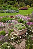 Scree Garden leading to lawn with borders of herbaceous perennials