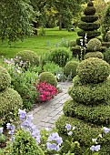 Knot Garden with various shaped box hedging brick pathways herbaceous perennials mature trees