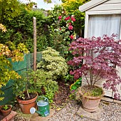 Summer Garden with summer house