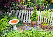 Bird bath, trees and shrubs, container with pyramid Buxus box shaped evergreen shrub