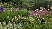 Border of herbaceous perennials, brick walls surrounded by mature trees  at Wollerton Old Hall (NGS) Market Drayton in Shropshire midsummer July