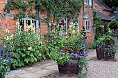 Wooden half barrel planters with annuals and perennials