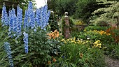 Delphinium elatum Centurion Sky