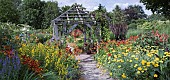 Garden Room hot coloured herbaceaous perennials