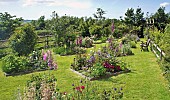 Summer Garden wooden containers of Perennials and Biennials