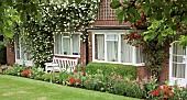 Red and white scented climbing roses on house front