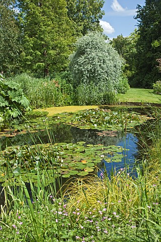 Garden_view_pond_with_water_lily_lawns_and_mature_trees