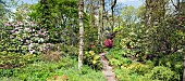 Path with steps leading through colourfull mature trees and shrubs