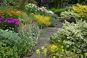 Summer Garden Phlox, Euonymous, Rudbeckia, Ornamental Grasses; Clematis and Roses
