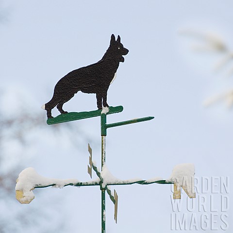 Snow_covered_weathervane_topped_by_a_Wolf_figure