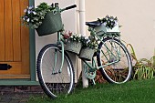 Front garden porch an old pushbike with containers of flowers
