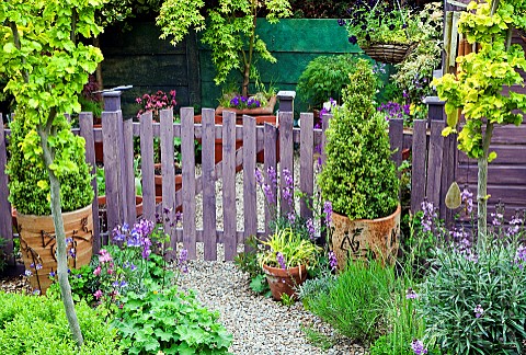Picket_fence_and_gate_treated_with_lavender_wood_preservative_various_mature_trees_and_shrubs_vibran