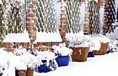 Snow covered front garden, with many containers alongside wall fence in December