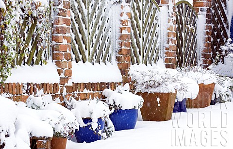 Snow_covered_front_garden_with_many_containers_alongside_wall_fence_in_December