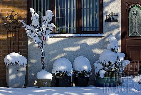 Photograph_of_snow_covered_front_garden_with_a_variety_of_containers_under_house_window_in_winter