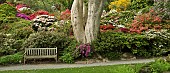 Woodland Garden in a scenic valley in spring United Kingdom in June.