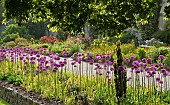 Woodland Garden in a scenic valley in spring United Kingdom in June.