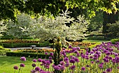 Woodland Garden in a scenic valley in spring United Kingdom in June.