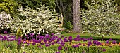 Woodland Garden in a scenic valley in spring United Kingdom in June.