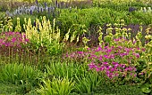 Mixed Border Herbaceous perennials