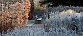 Frosted winter foliage