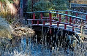 Tranquil Japanese Garden in winter sunshine