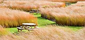 Rivers of grass stunning golden colour in late autumn