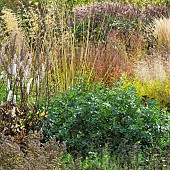 Stunning explosion of Autumn colour from mixed borders from a wide variety of perennials and ornamental grasses