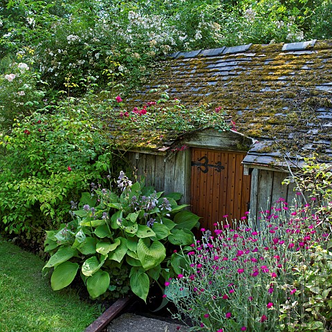 Boathouse_in_summer_with_herbaceous_perennials_mature_trees_and_shrubs