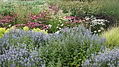 Mixed border of herbaceous perennials