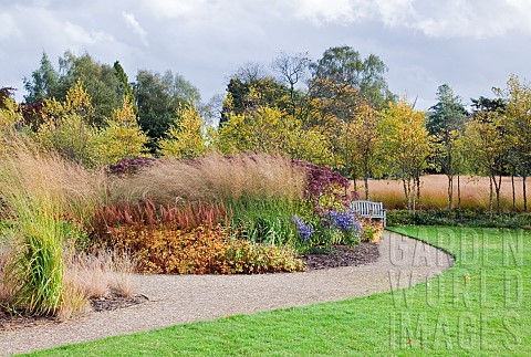 stunning_planting_of_borders_in_late_autumn_with_rich_autumnal_russet_tones_tints_and_hues_along_wit