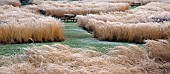 Rivers of grass garden frosted