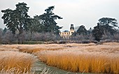 Rivers of grass garden frosted ornamental grasses