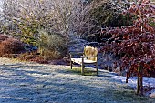 Winter at Wilkins Pleck (NGS) Whitmore Staffordshire