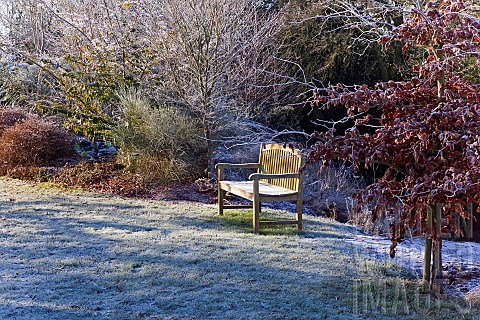 Winter_at_Wilkins_Pleck_NGS_Whitmore_Staffordshire