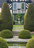 Pudding box in lower rill garden front of house with containers of white tulips