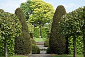 Mature trees, beech hedges, box puddings, portuguese laurel