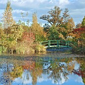 Picturesque aboretum large pond and Monet bridge