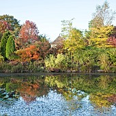 Aboretum large pond with autumn