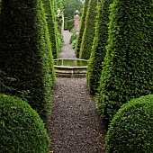 The Well Garden