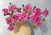 Pink Carnations in Vase