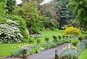 Garden view Spring borders