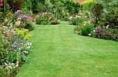 LARGE GARDEN, LAWN AND BORDERS