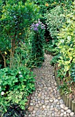 COBBLED PATH THROUGH DENSE FOLIAGED GARDEN