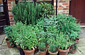 HERB CONTAINERS,