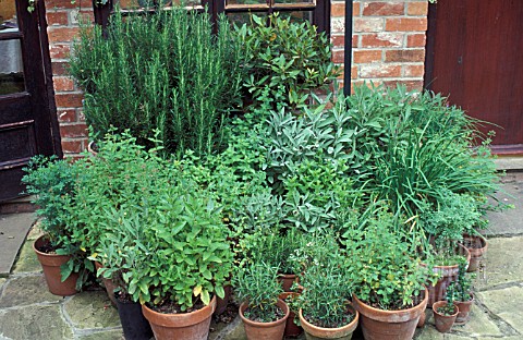 HERB_CONTAINERS
