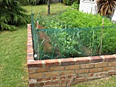 SMALL VEGETABLE GARDEN IN BRICK RAISED BED