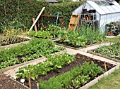 SMALL VEGETABLE GARDEN WITH GLASSHOUSE